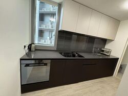 Amber Park (D15), Condominium #609639401